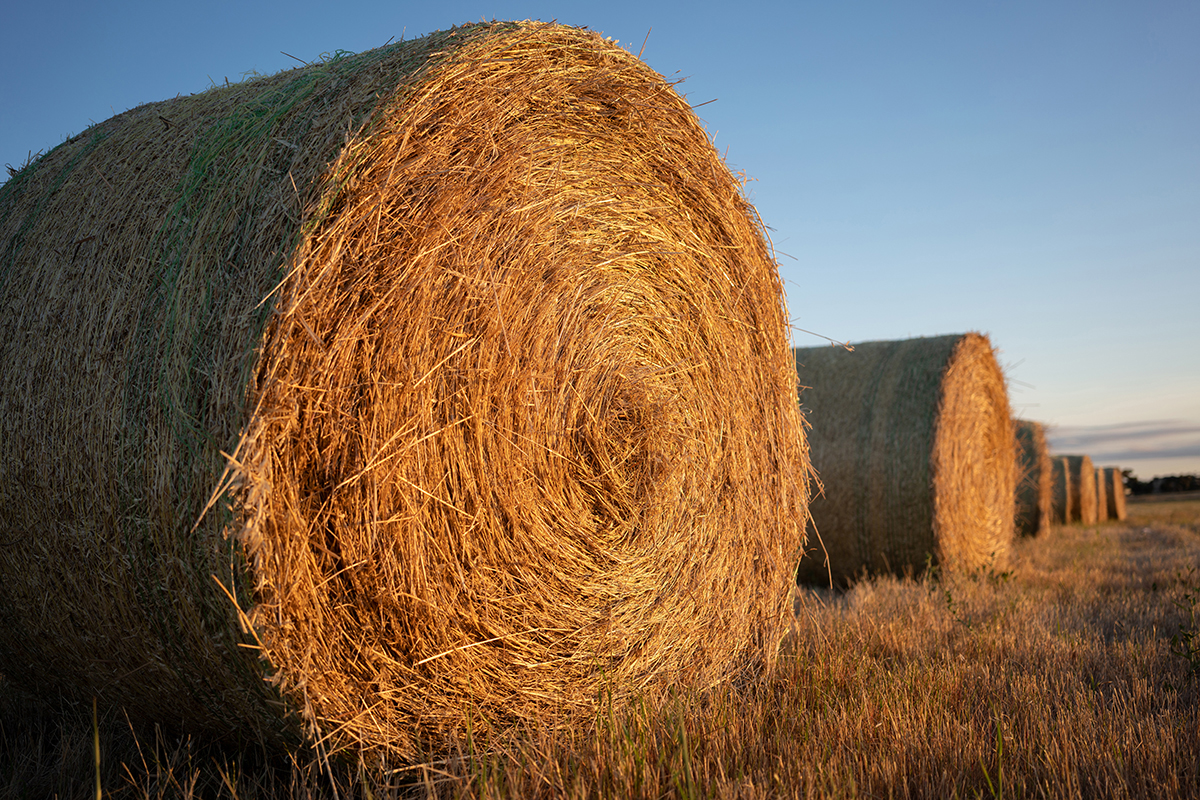 <p>Focal length : 35mm Exposure :F/2.8 1/320 sec ISO 80</p>
