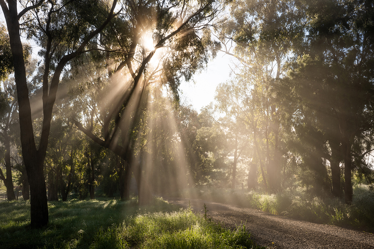 <p>Focal length : 35mm Exposure :F/22 1/50 sec ISO 200</p>
