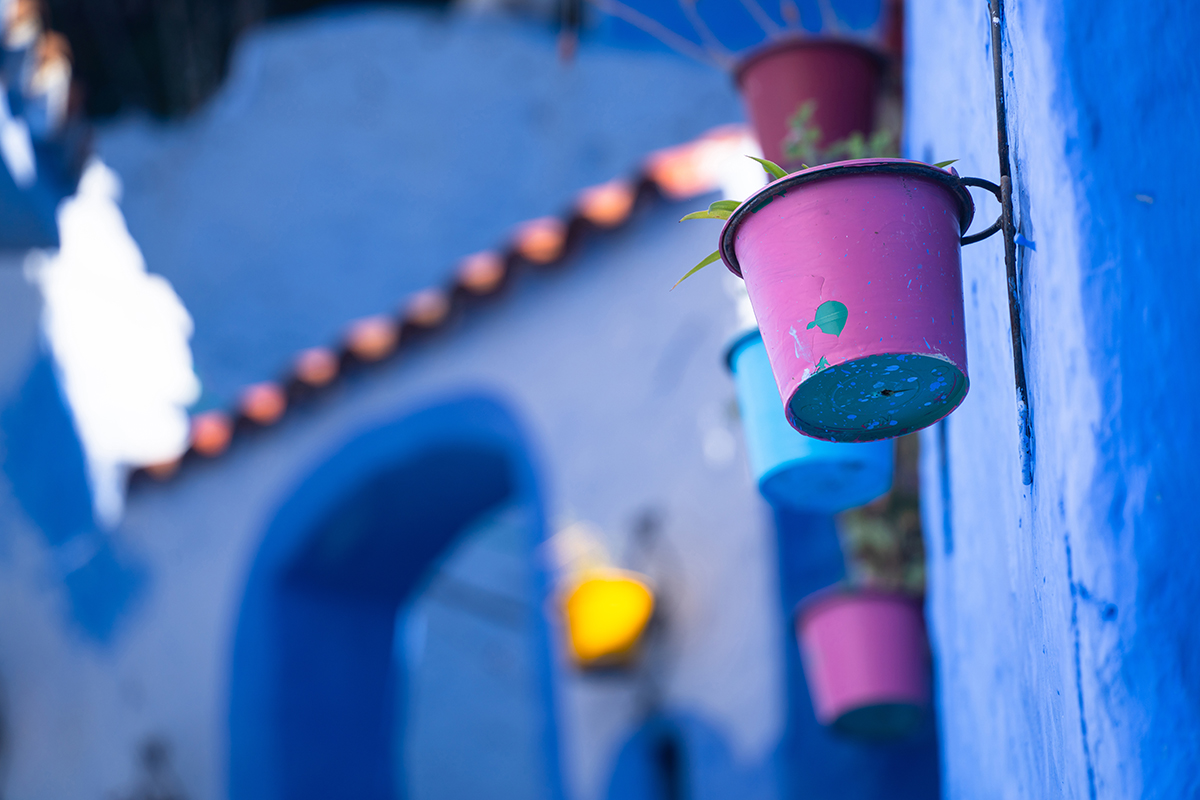 Des pots de fleurs colorés montés sur un mur bleu vif dans une charmante ruelle - prise de vue avec le meilleur objectif pour la photographie de vacances afin de mettre en valeur les détails urbains.