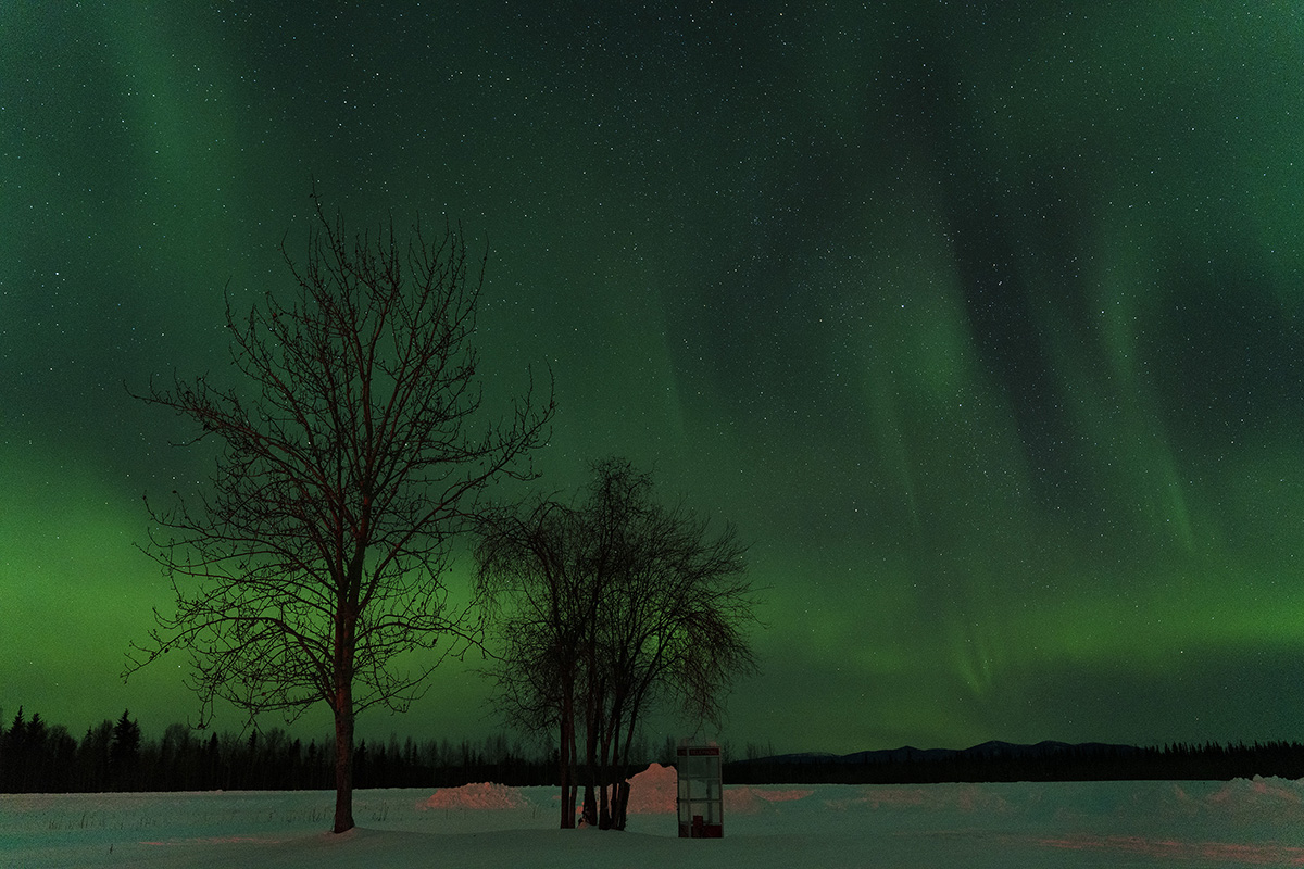 Aurora boreal verde resplandeciente sobre un campo cubierto de nieve con árboles en silueta, capturada utilizando fotografía de larga exposición del cielo nocturno para consejos de fotografía de lluvia de meteoritos.