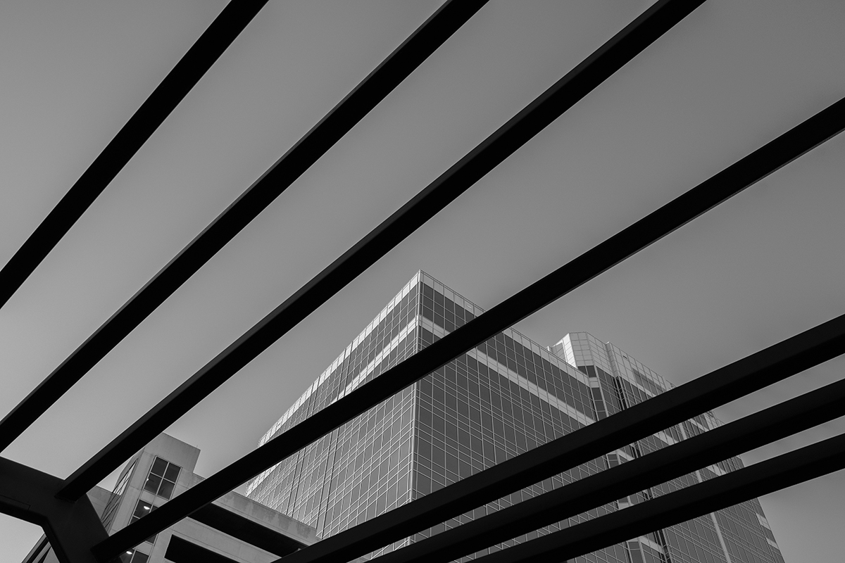 <p>Distancia focal : 20mm<br /> Exposici&oacute;n : F/6.3, 1/600 seg, ISO 320</p>