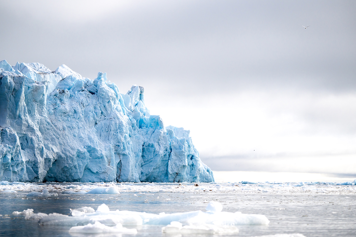 <p>Distancia focal : 172mm<br /> Exposici&oacute;n : F/6.3, 1/8000 seg, ISO 800<br /> C&aacute;mara : Nikon Z 9</p>