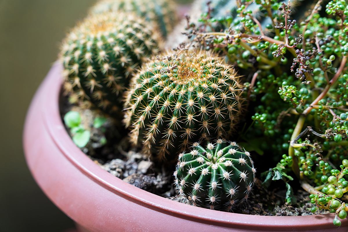 <p>Focal length : 150m Exposure : F/5.0 1/125sec ISO 320</p>
