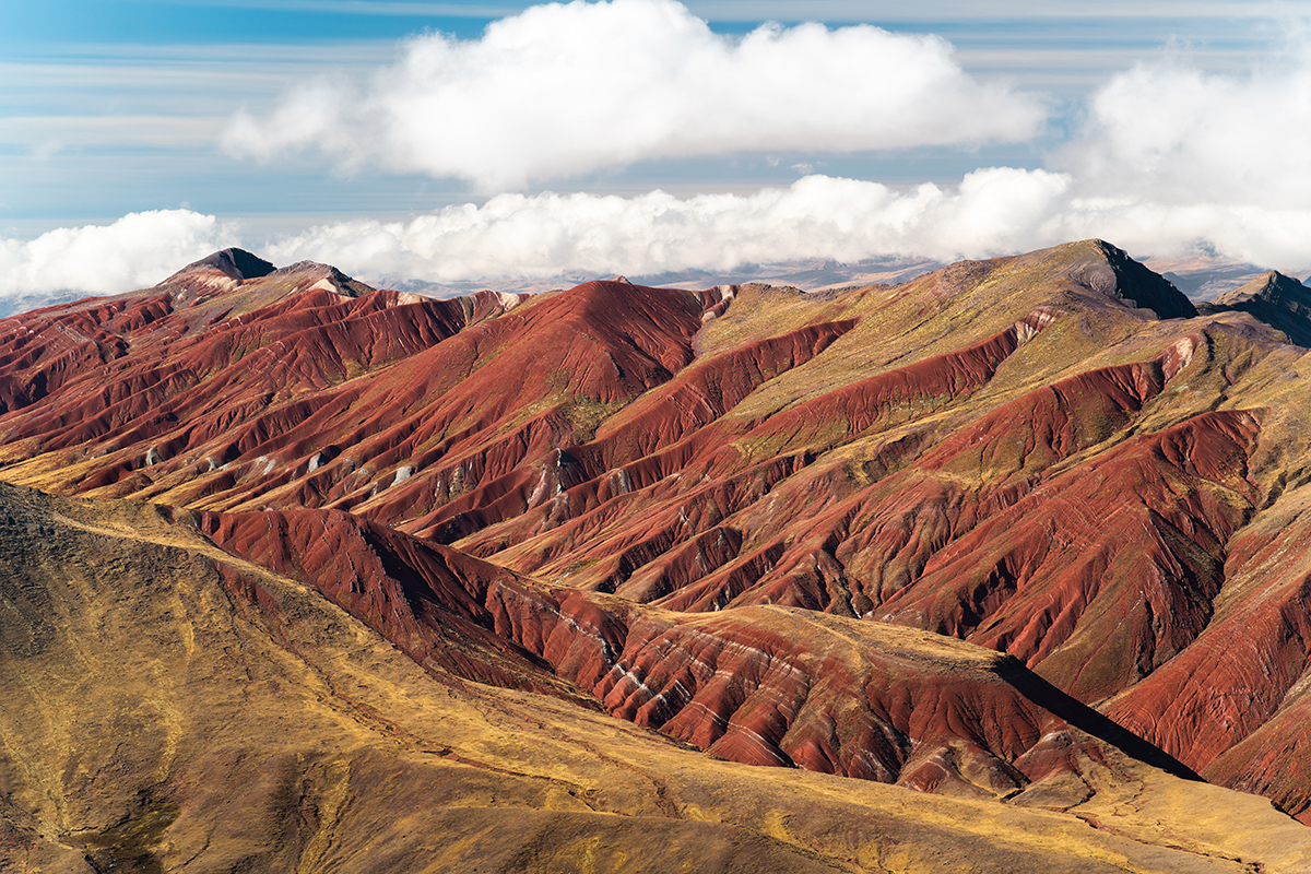 <p>Focal length : 150mm Exposure : F/2.8 1/500sec ISO 100</p>
