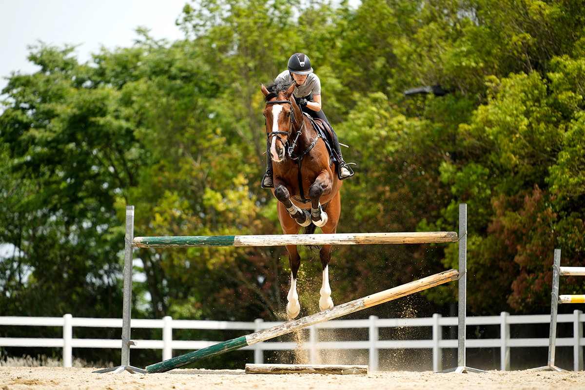 <p>Distancia focal : 180mm<br /> Exposici&oacute;n : F/2.8, 1/1600 seg, ISO 200</p>