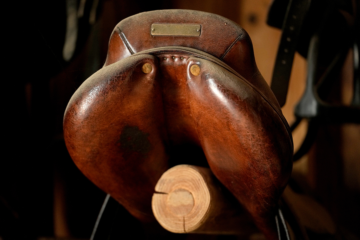 <p>Distancia focal : 180mm<br /> Exposici&oacute;n : F/2.8, 1/320 seg, ISO 2500</p>