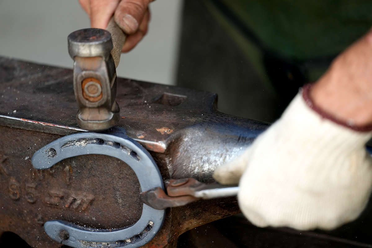 <p>Distancia focal : 180mm<br /> Exposici&oacute;n : F/2.8, 1/1600 seg, ISO 640</p>