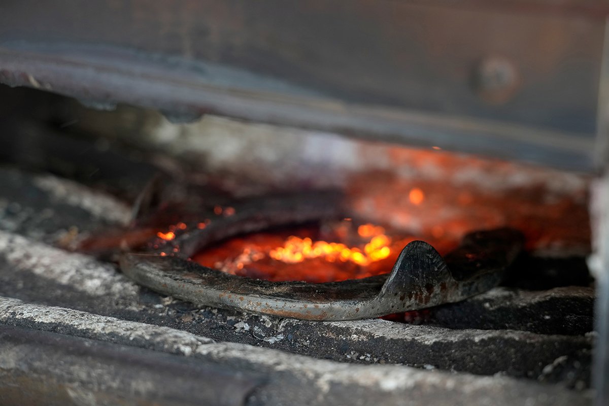 <p>Distancia focal : 180mm<br /> Exposici&oacute;n : F/5.6, 1/200 seg, ISO 640</p>