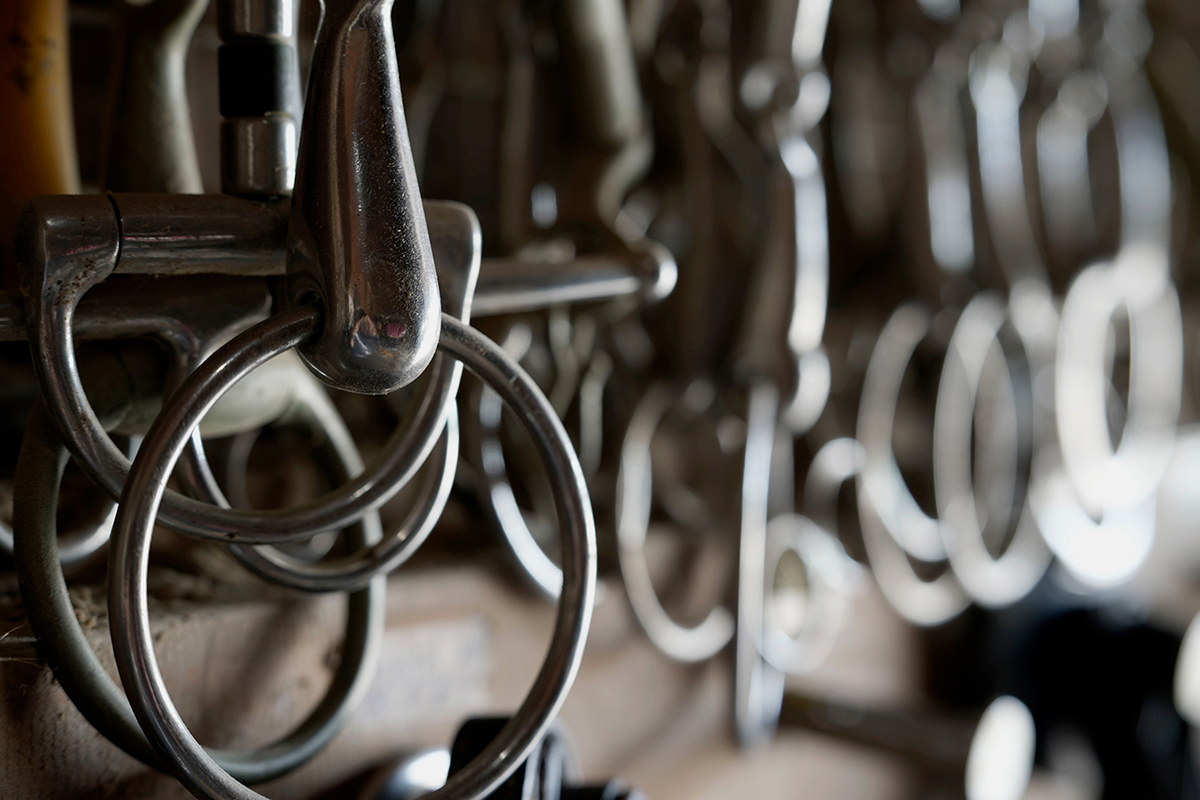 <p>Distancia focal : 70mm<br /> Exposici&oacute;n : F/4.5, 1/8 seg, ISO 100</p>