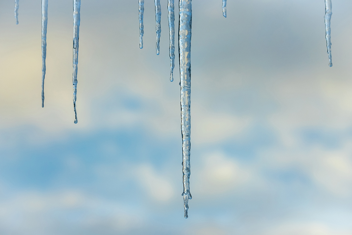 <p>Distancia focal : 150mm Exposici&oacute;n : F/8.0 1/1000seg ISO 800</p>