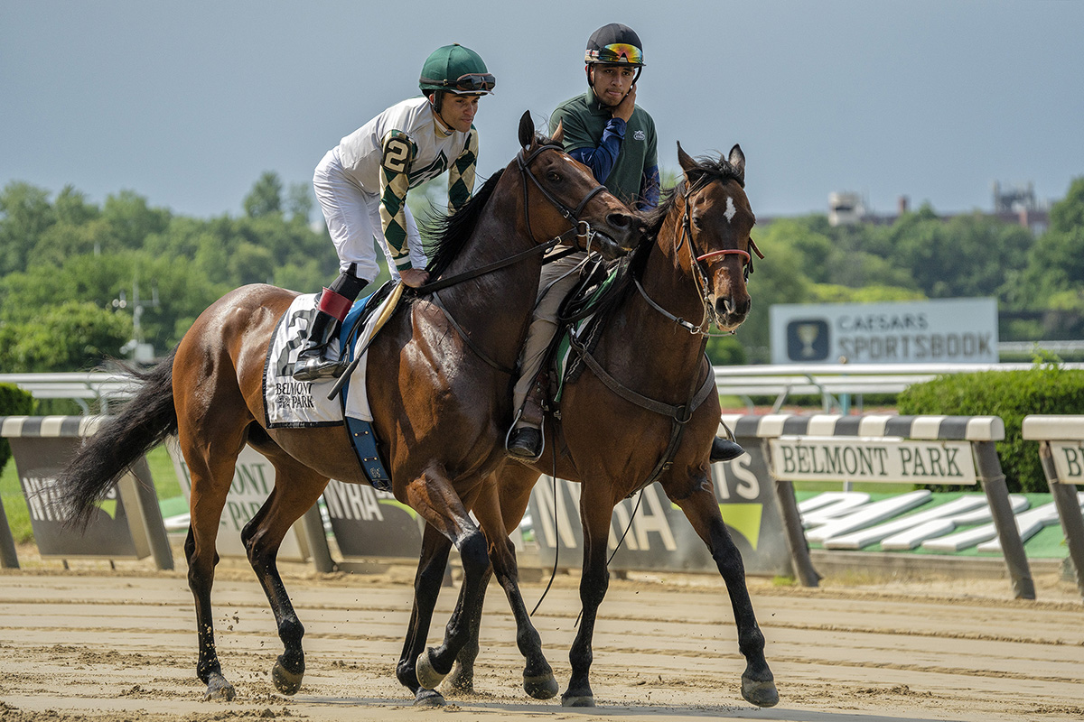 <p>Focal length : 232mm Exposure : F/6.3 1/4000sec ISO 500</p>
