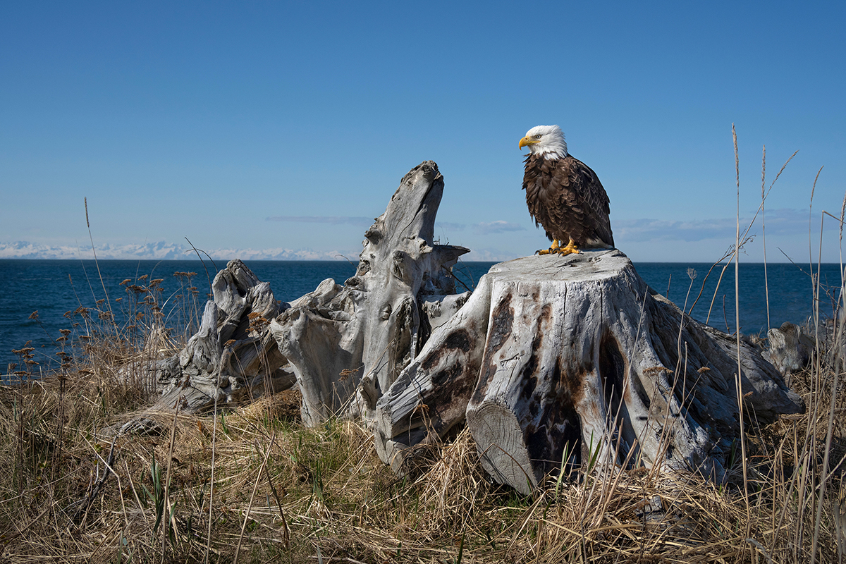 <p>Focal length : 50mm Exposure : F/9.0 1/2000sec ISO 400</p>
