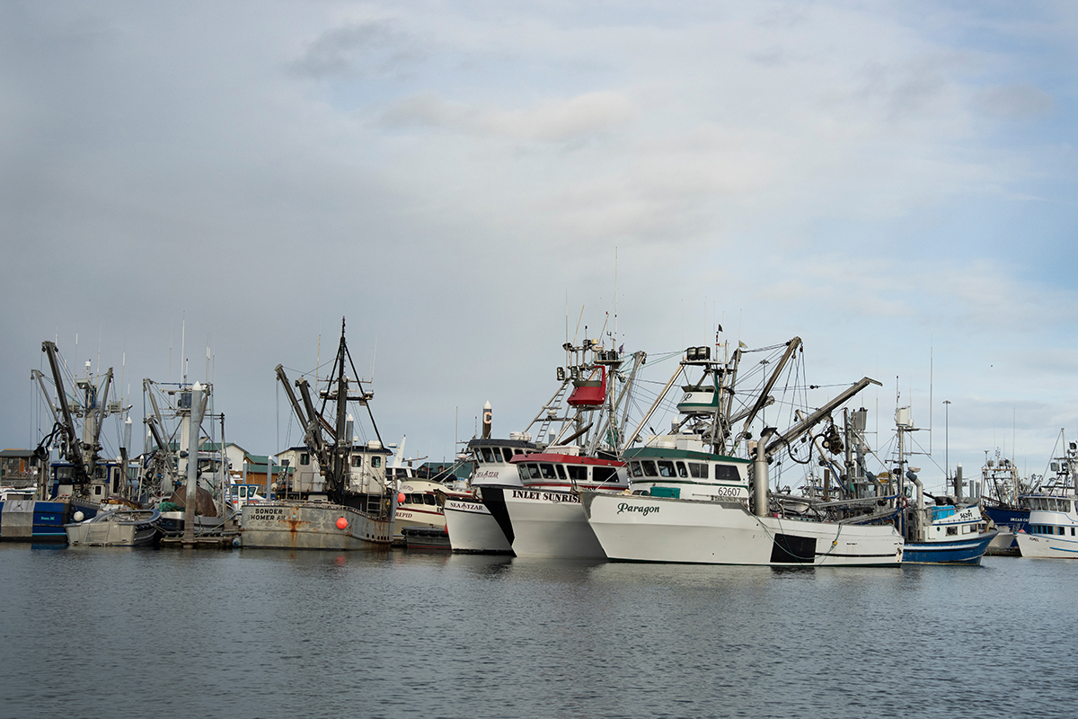 <p>Focal length : 50mm Exposure : F/6.3 1/1250sec ISO 640</p>
