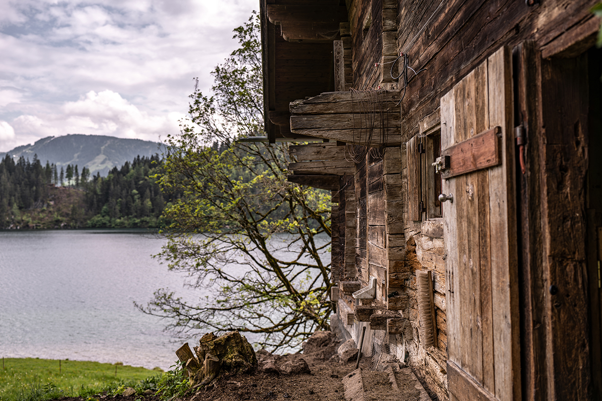 <p>Focal length : 35mm<br />
Exposure : F/2.8, 1/1000 sec, ISO 64<br />
Camera : Nikon Z 7</p>
