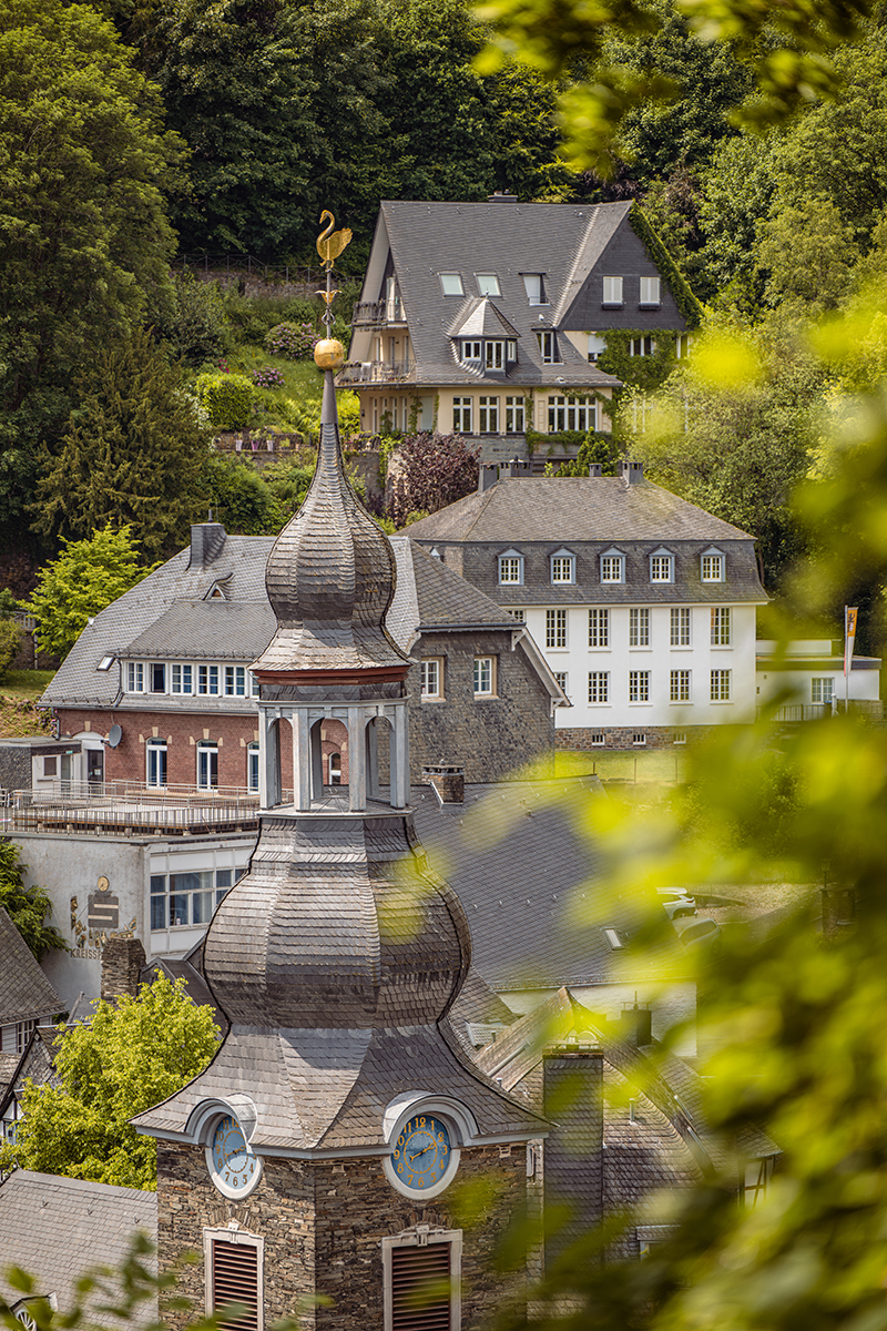 <p>Focal length : 150mm<br />
Exposure : F/2.8, 1/640 sec, ISO 100<br />
Camera : Nikon Z 7</p>
