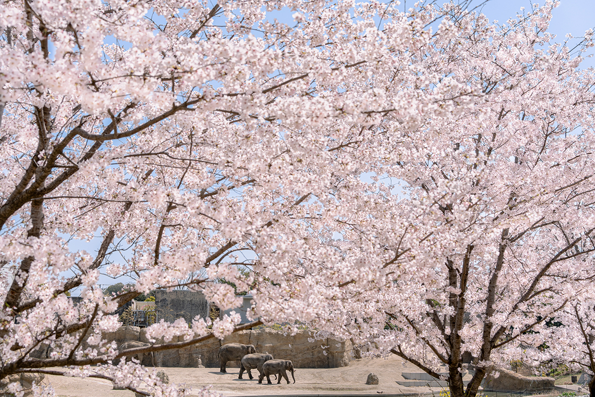 <p>Focal length : 50mm Exposure : F/8.0 1/640sec ISO 320</p>
