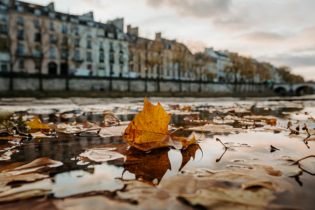 <p>Focal length : 17mm Exposure : F/3.5 1/250sec ISO 250</p>
