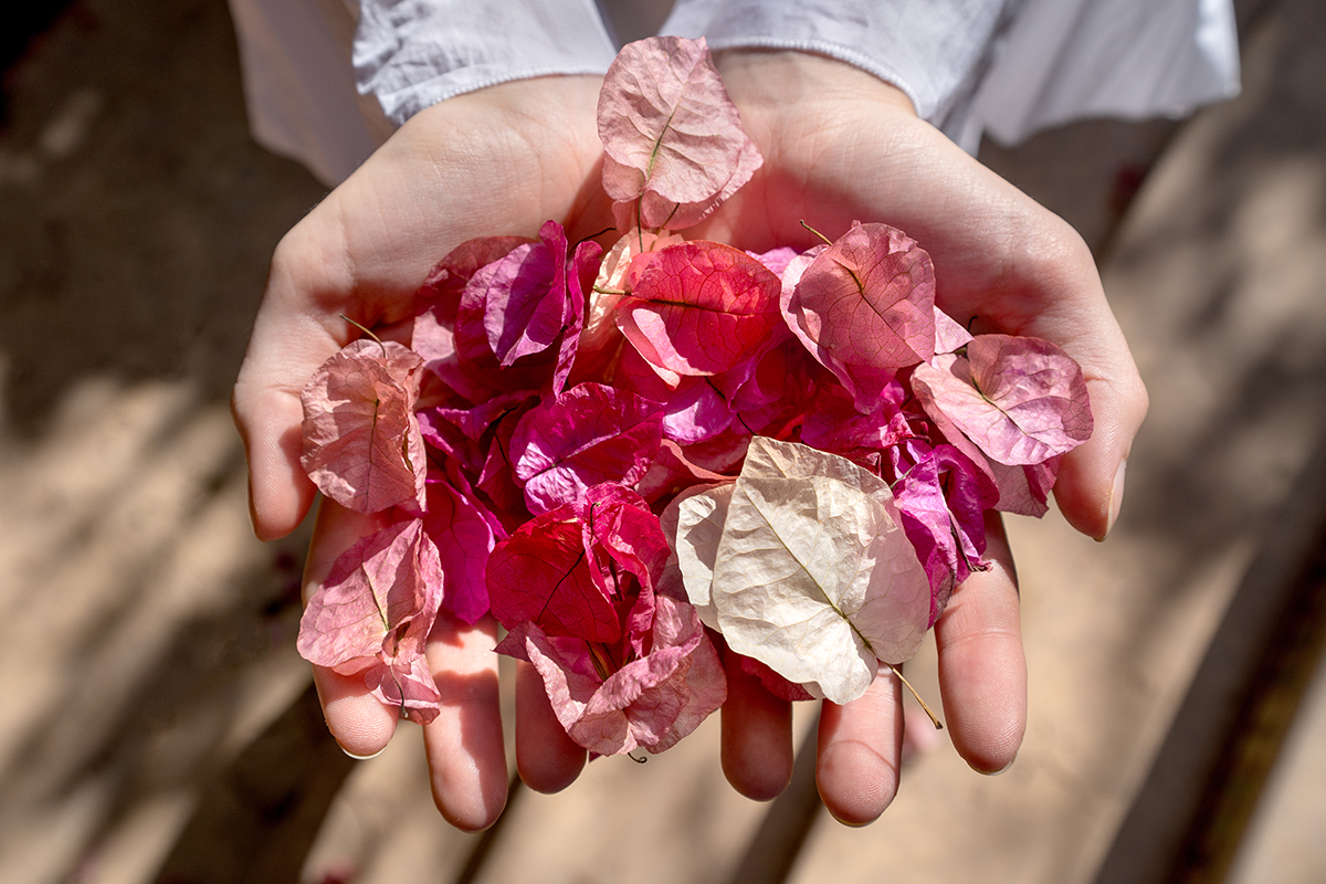 <p>Longitud focal : 28mm Exposici&oacute;n : F/5.6 1/800seg ISO 100</p>