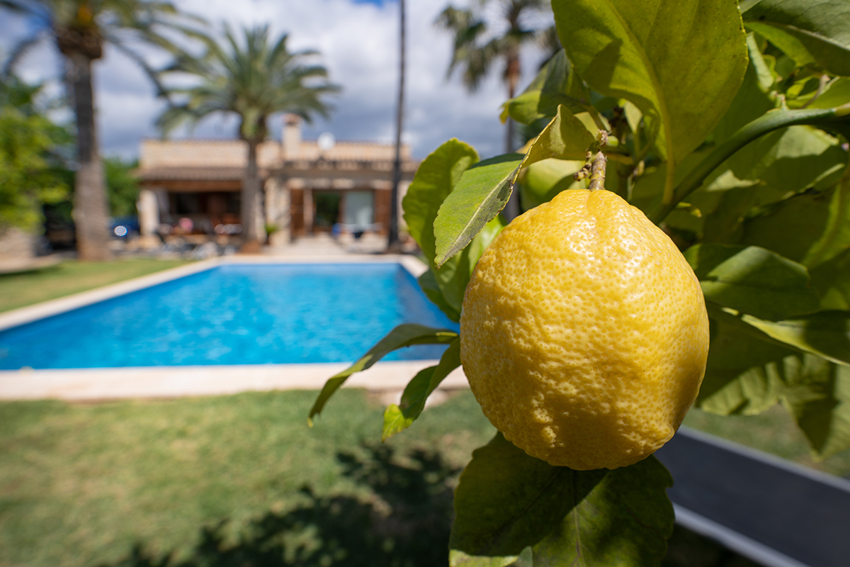 <p>Distancia focal : 17mm Exposici&oacute;n : F/8.0 1/320seg ISO 125</p>