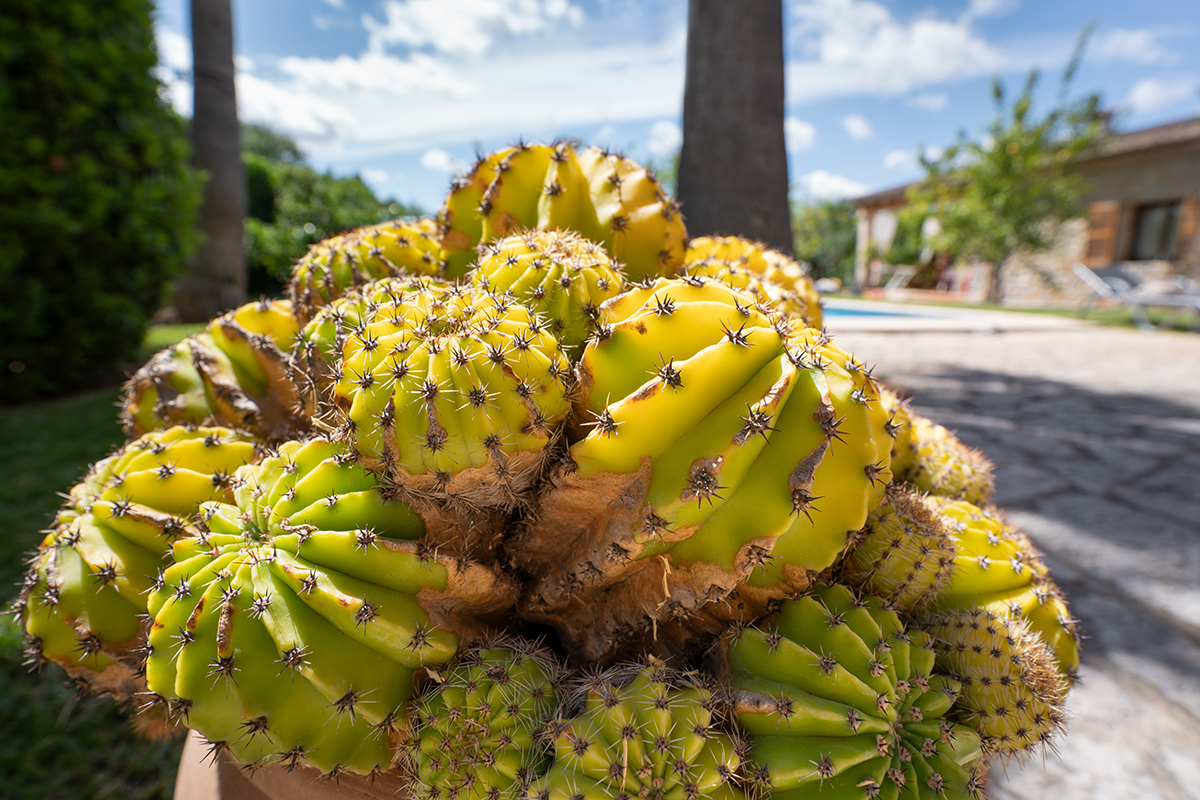 <p>Distancia focal : 17mm Exposici&oacute;n : F/8.0 1/160seg ISO 125</p>