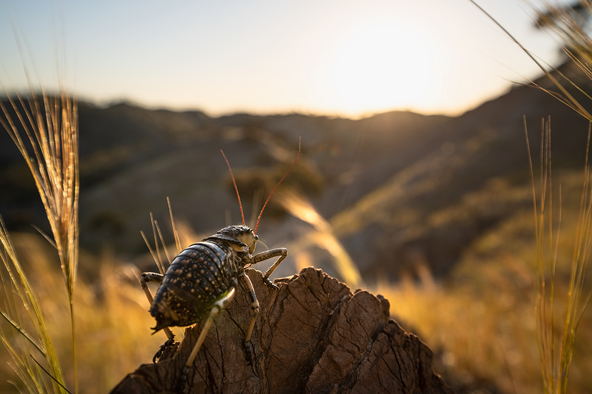 <p>Longitud focal : 28mm Exposici&oacute;n : F/6.3 1/400seg ISO 160</p>