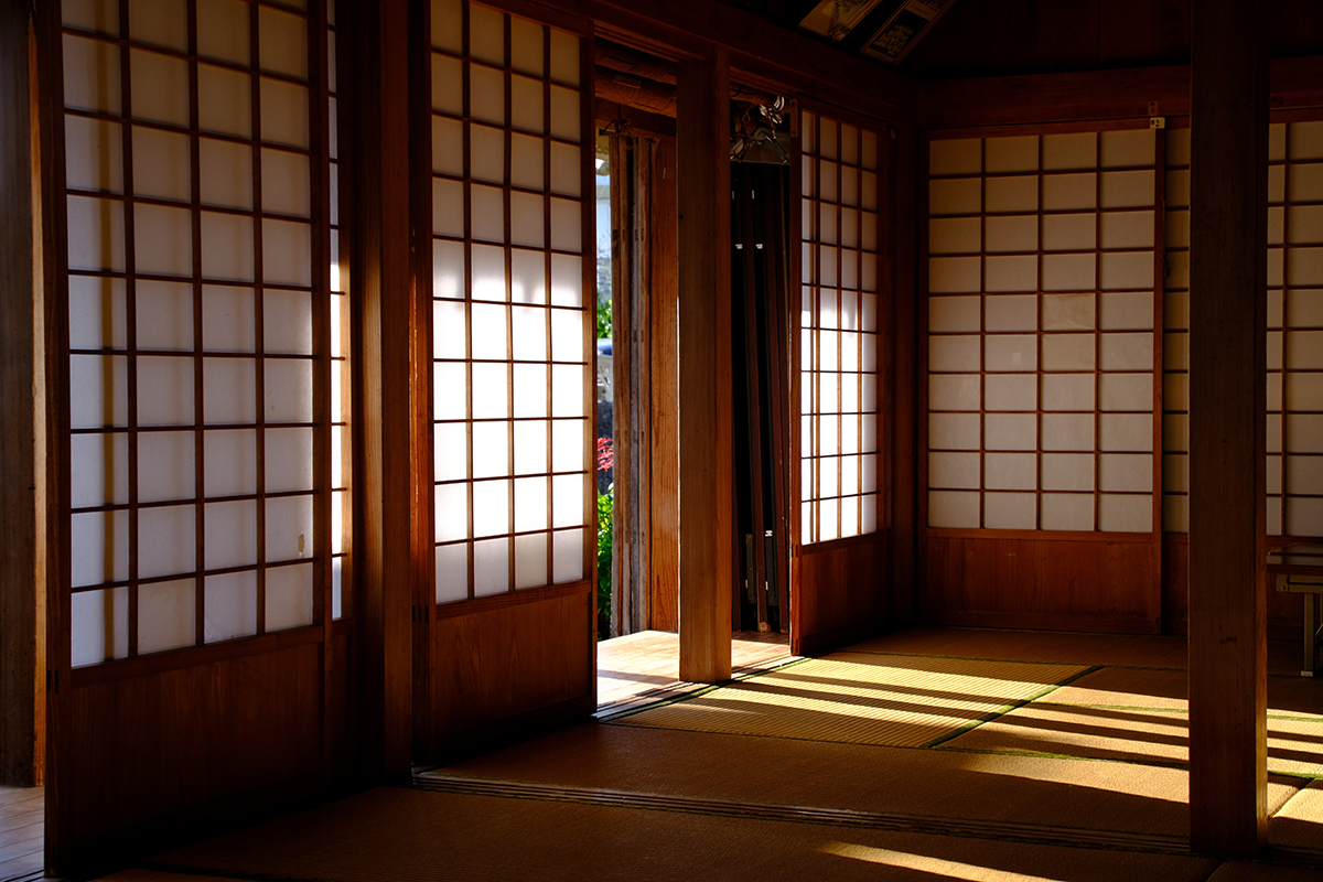 <p>Longitud focal : 37mm Exposici&oacute;n : F/5.6 1/80seg ISO 160 X-S10</p>