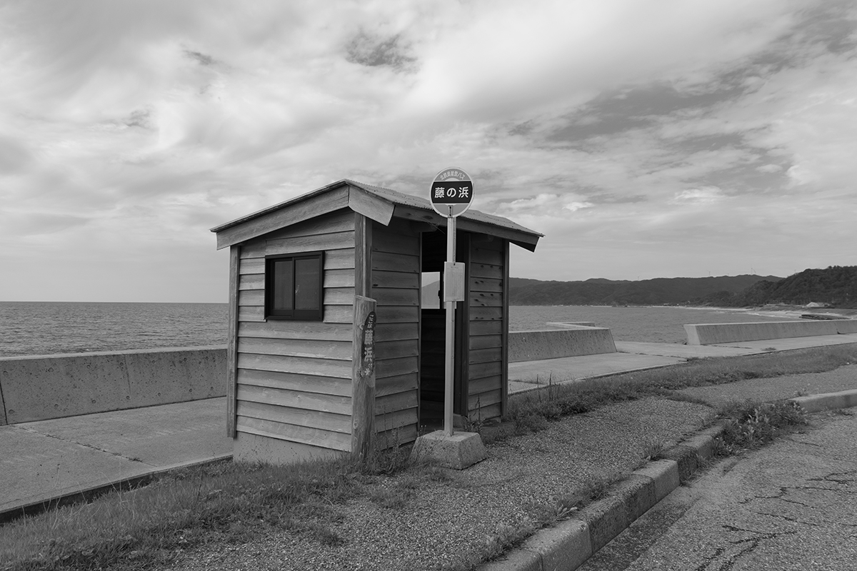 <p>Longitud focal : 18mm Exposici&oacute;n : F/5.0 1/750seg ISO 160 X-S10</p>