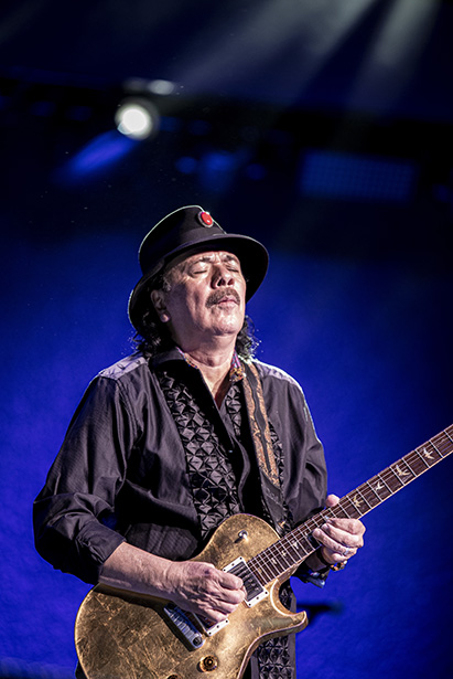 Primer plano de un guitarrista inmerso en una actuación, que demuestra los retos de la iluminación expresiva para la configuración de la cámara en la fotografía de conciertos.