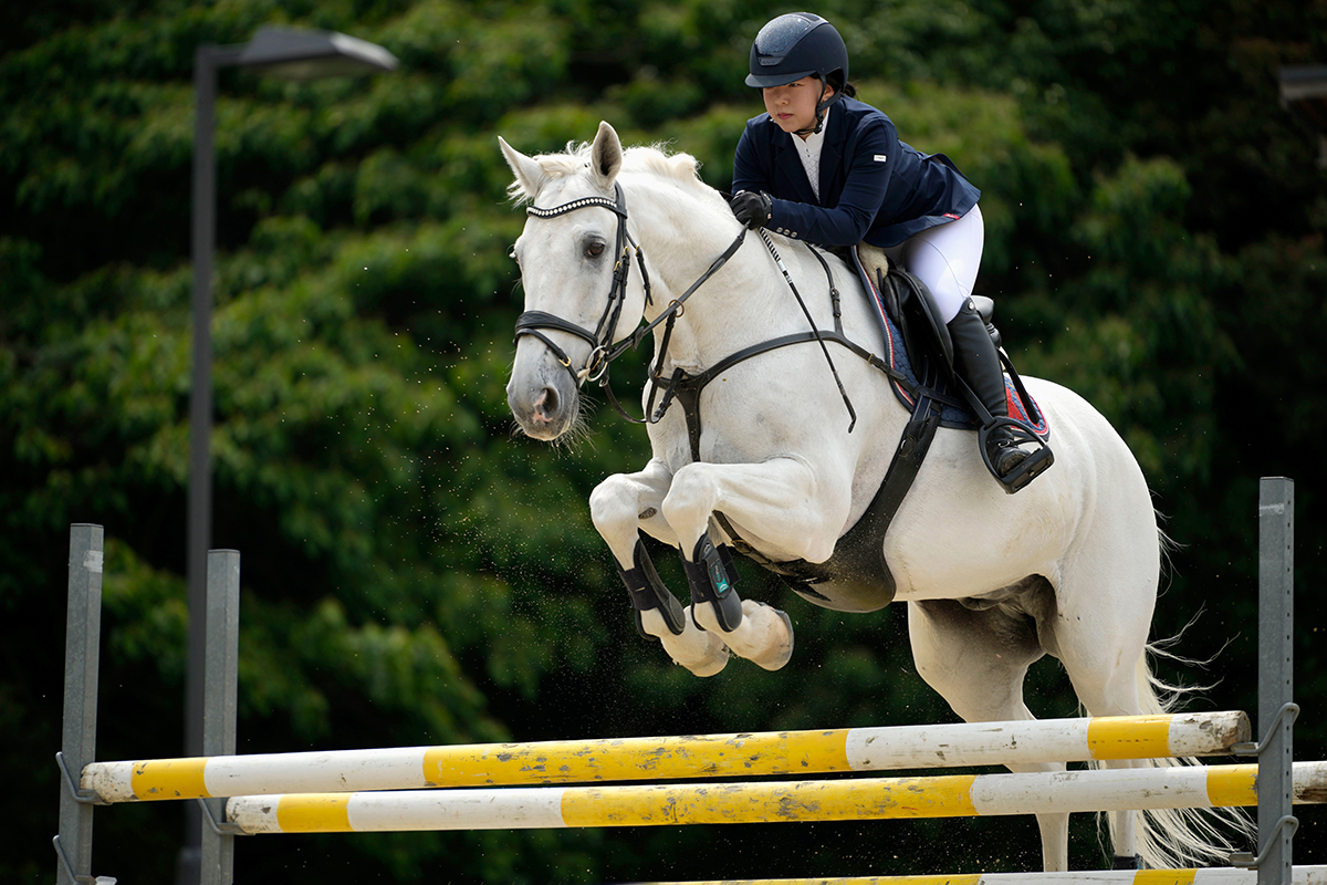 An equestrian rider on a white horse clearing a jump with sharp detail and frozen motion, captured using Tamron lenses for Sony A7R series cameras.
