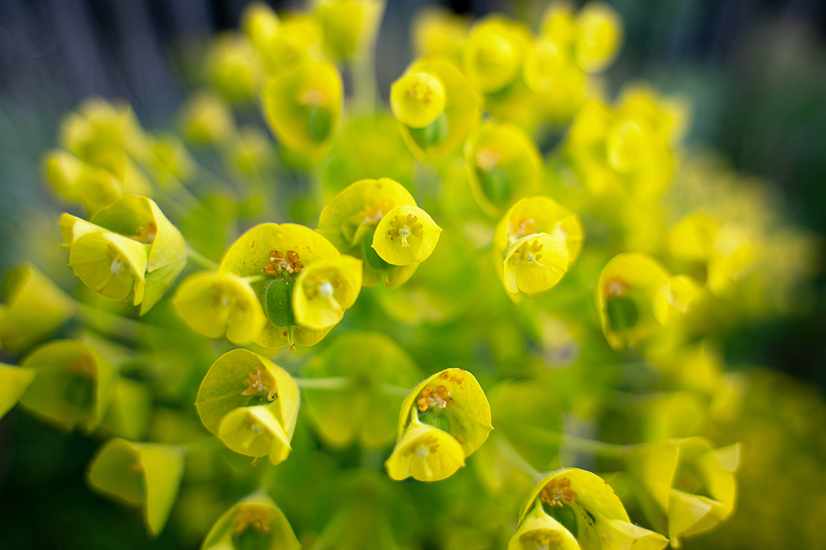 <p>Focal length : 20mm<br />
Exposure : F/2.8 1/500 sec ISO 200</p>
