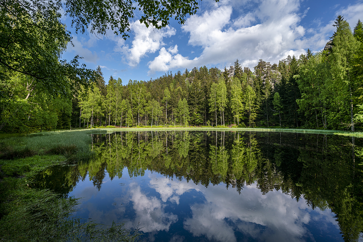 Un lac serein entouré d'une forêt verdoyante et d'un ciel bleu, se reflétant parfaitement dans l'eau, capturé avec le meilleur objectif pour la photographie de vacances.