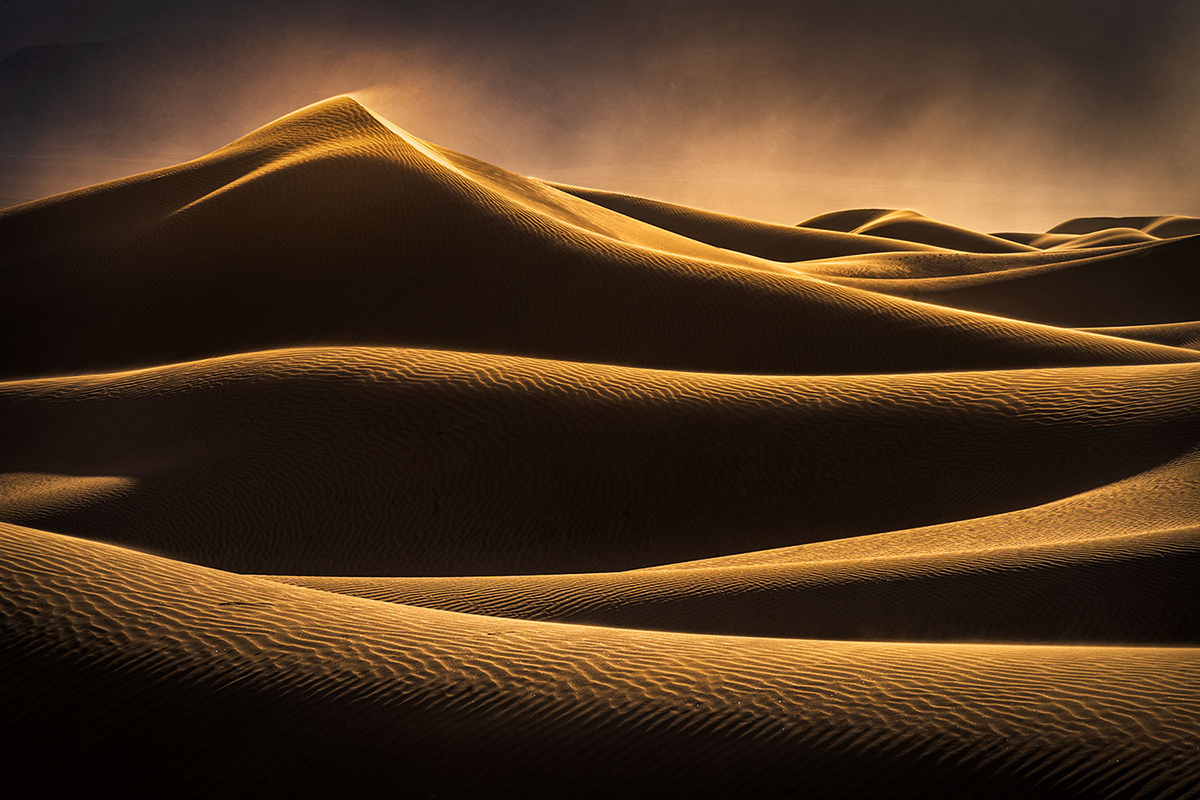 Dunas de arena dorada iluminadas por una luz suave, que crean un paisaje desértico sereno y ondulante.