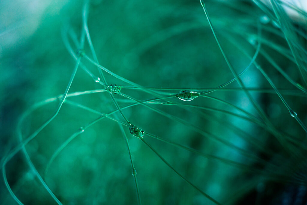 Image macro abstraite de fils verts et de gouttelettes d'eau avec texture, profondeur et détails fins.