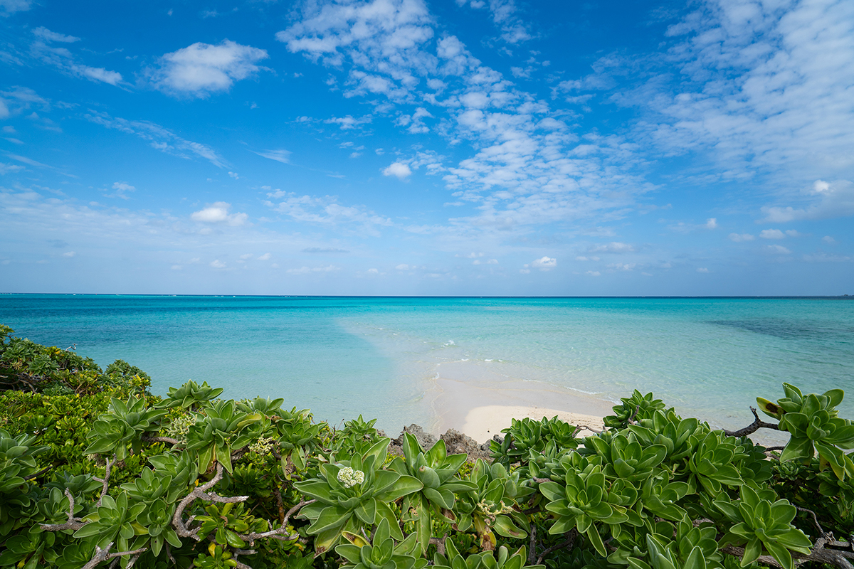 <p>Focal length: 17mm Exposure: F8.0, 1/500 sec., ISO 200</p>
