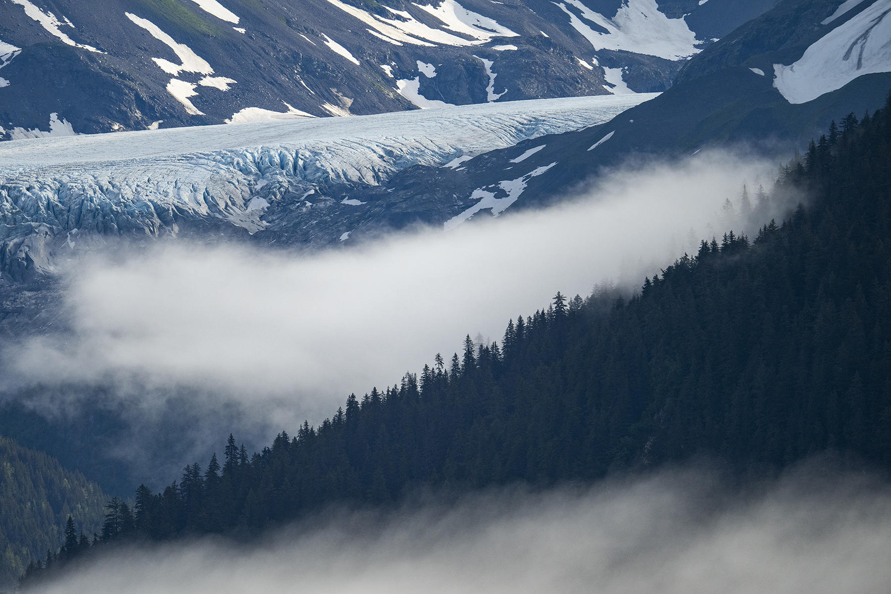 Uma vista de tirar o fôlego de uma geleira emoldurada por nuvens enevoadas e densas florestas sempre verdes.