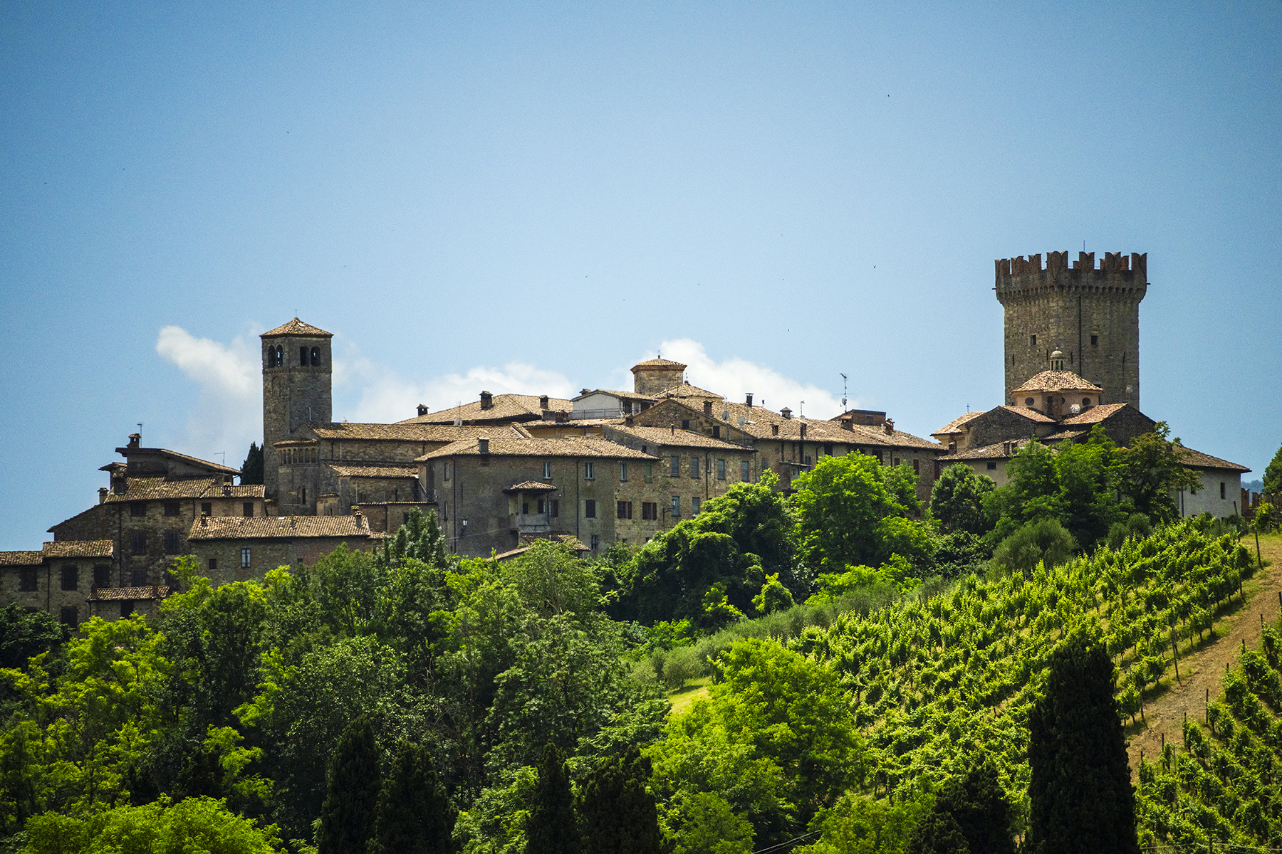 Un pintoresco pueblo en lo alto de una colina con edificios históricos de piedra y una alta torre, rodeado de exuberante vegetación.