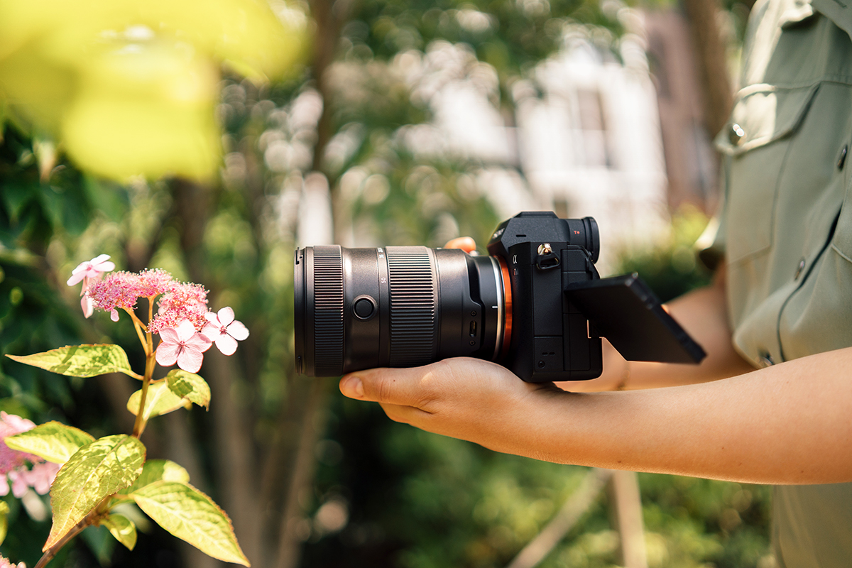 Natural lighting enhances this outdoor macro video shoot, creating a soft, warm glow that highlights the delicate details of the flowers.