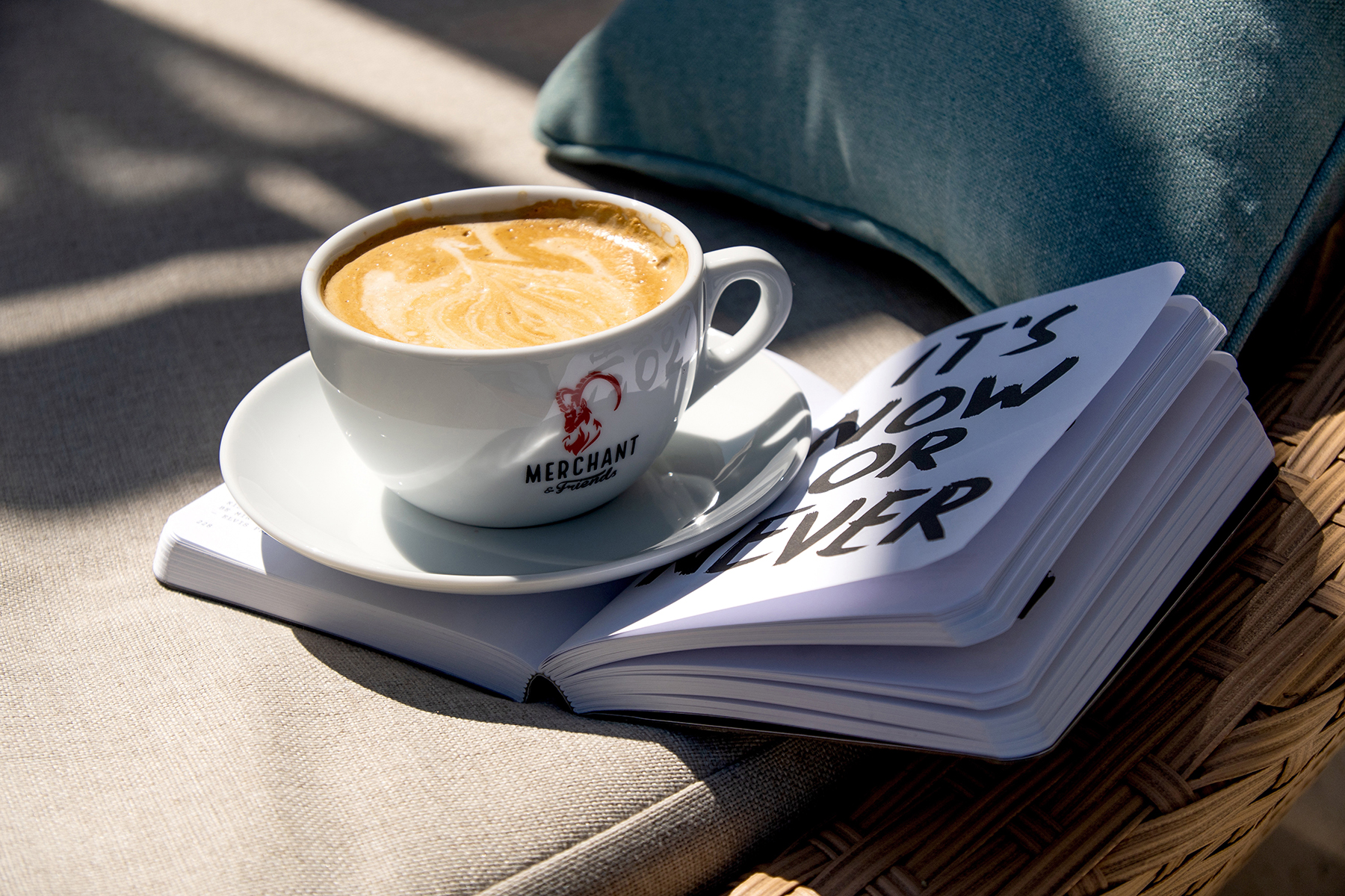 A steaming cup of coffee sits on an open book with the words 'It's now or never,' basking in warm sunlight.