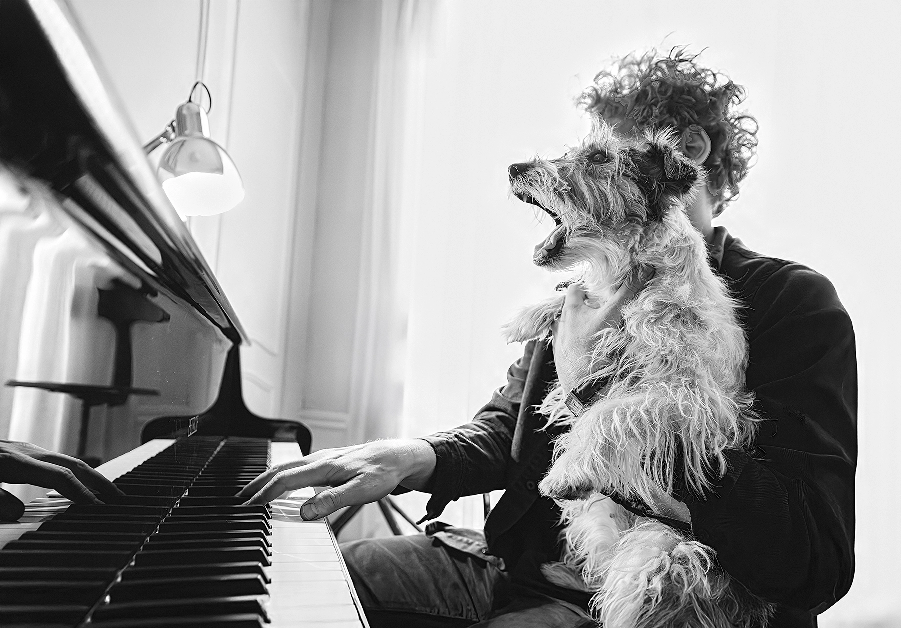 <p>Distancia focal : 28mm<br />Exposici&oacute;n : F/4.0, 1/100 seg., ISO 800</p>