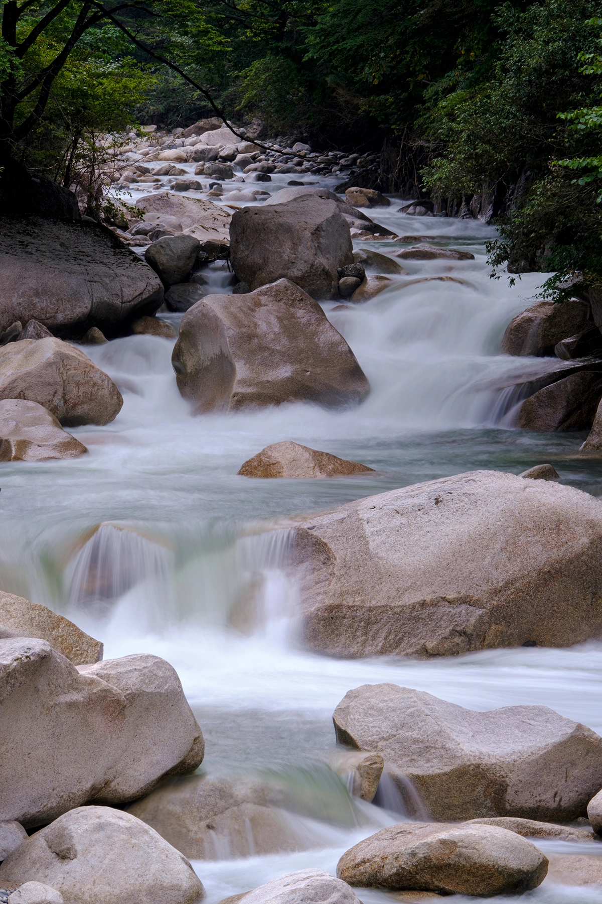 A cascading mountain stream with silky water flowing over large, smooth boulders, framed by lush greenery in the background.