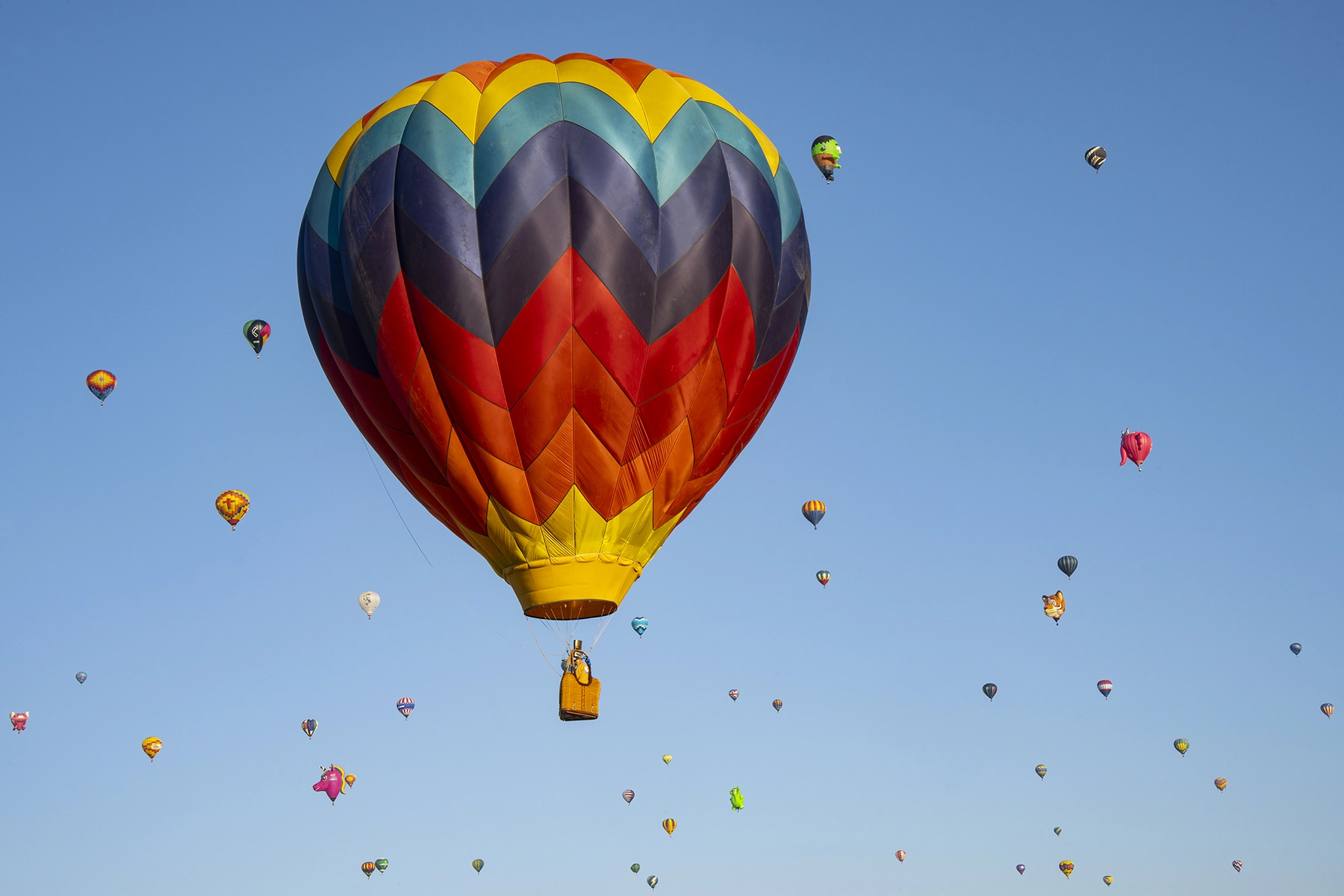 Globo aerostático grande y colorido con un dibujo de chevrones flotando en un cielo azul despejado, rodeado de numerosos globos más pequeños durante un festival de globos.