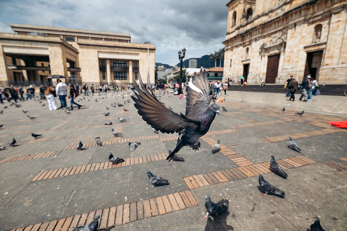 <p>Longueur focale : 17mm, Exposition : F/3.5, 1/3200 sec, ISO 320</p>