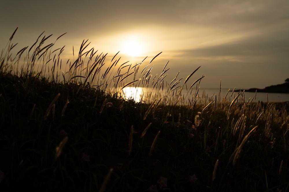 TAMRON 16-30mm F2.8 G2 (Model A064) | Focal length：30mm　Exposure：F2.8, 1/8000sec., ISO 100