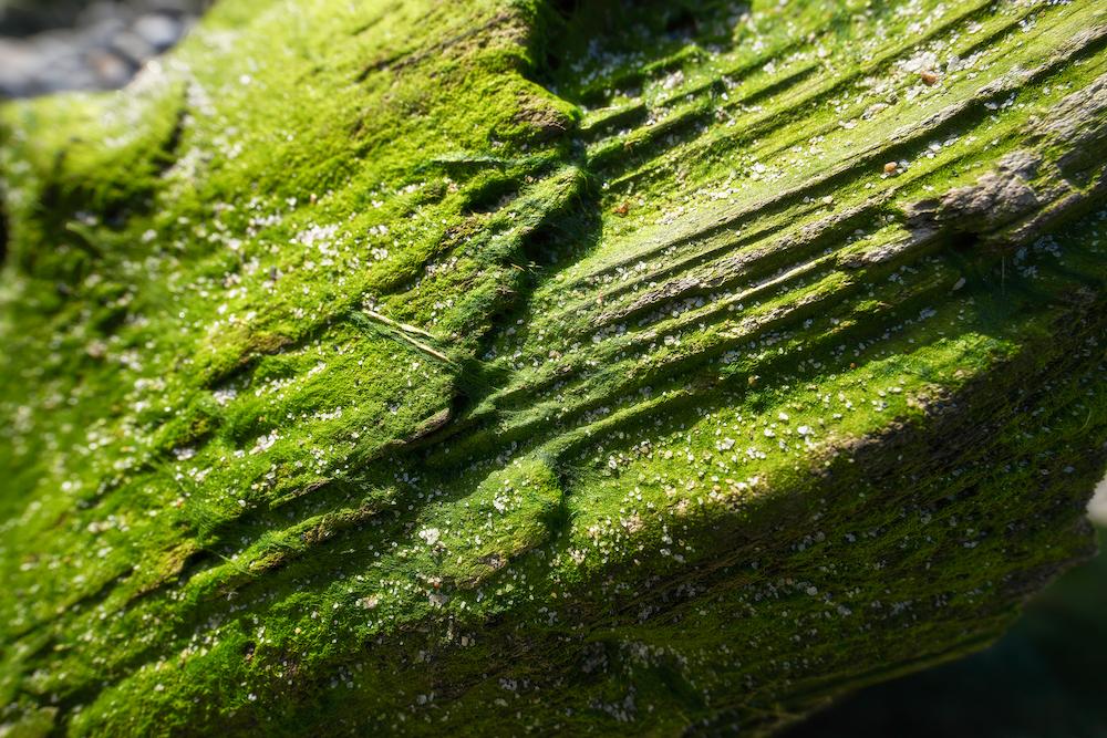 TAMRON 16-30mm F2.8 G2 (Model A064) | Focal length：16mm　Exposure：F5.6, 1/640sec., ISO 100