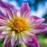 Beautiful image quality