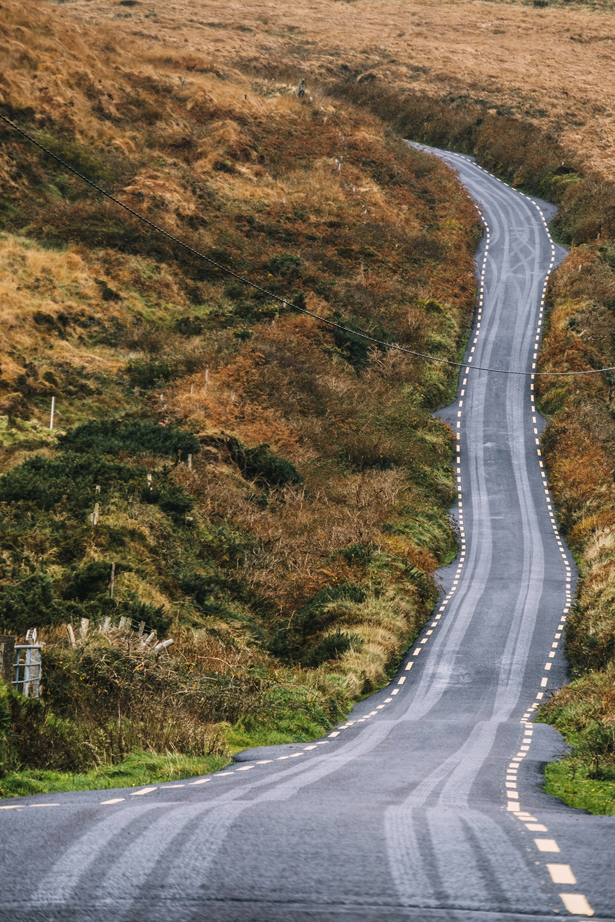 Carretera sinuosa que atraviesa un paisaje otoñal agreste, capturada con una claridad y profundidad que reflejan el poder del mejor objetivo para fotografía de viajes para transmitir viajes remotos y rutas panorámicas.
