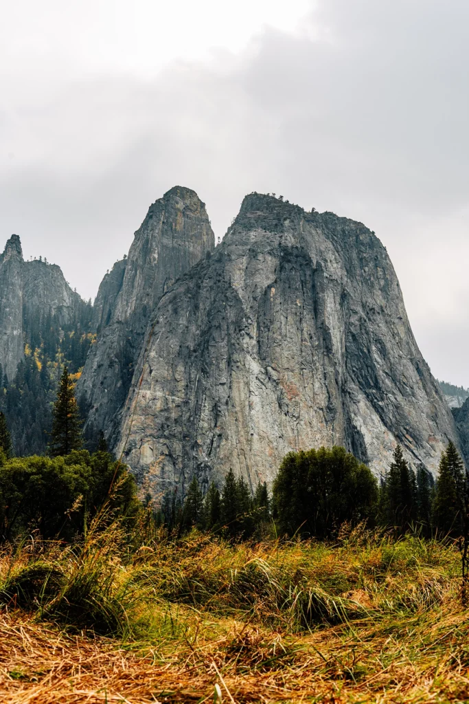 Parc national de Yosemite, montagne imposante avec de l'herbe au premier plan