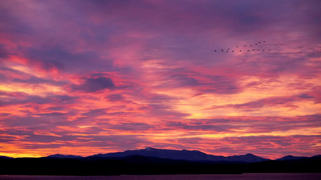 A vibrant sunset over distant mountains, with shades of pink, orange, and purple filling the sky, while a flock of birds gracefully soars across the horizon.