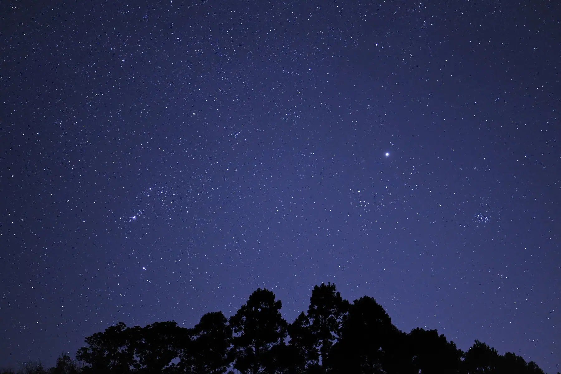 Ciel nocturne étoilé au-dessus de silhouettes d'arbres, capturé lors de l'examen du Tamron 16-30 mm F2.8 G2, mettant en évidence les performances idéales de l'objectif pour l'astrophotographie avec des étoiles nettes et une aberration minimale.