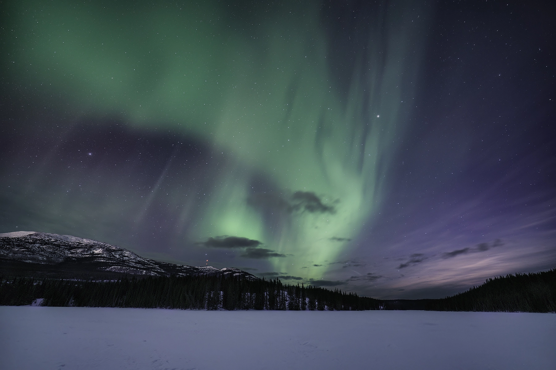 Wide-angle landscape photo of the Northern Lights over a snowy forest and mountain range, showcasing a broad angle of view and dramatic depth.